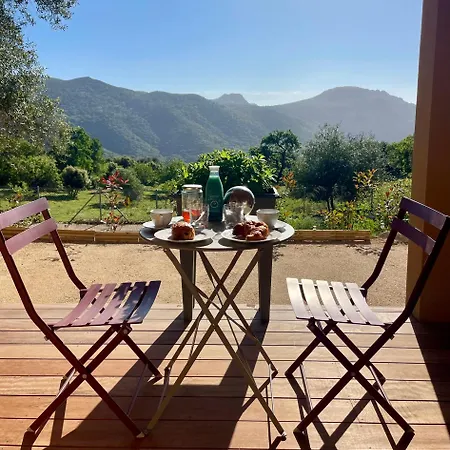 Sognu Di Sole