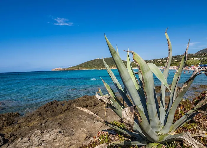 Bed & Breakfast Sognu Di Sole *